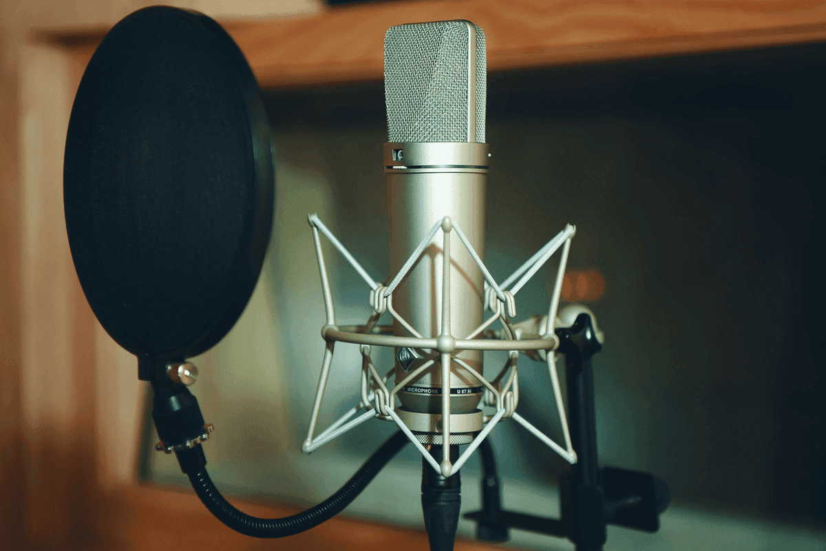 I will do professional voice over in English and Hindi