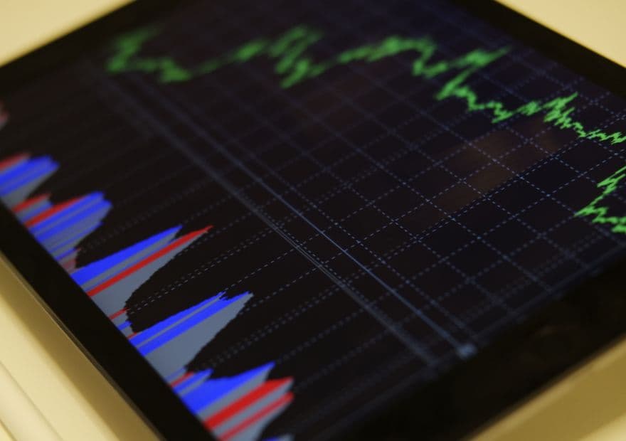 Price elasticity study across 12 lines